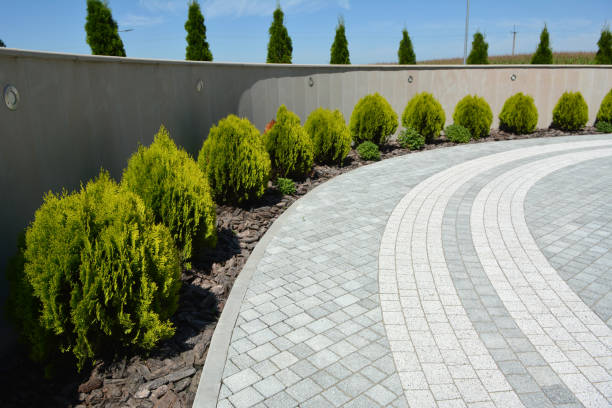 Trusted Saranap, CA Driveway Pavers Experts